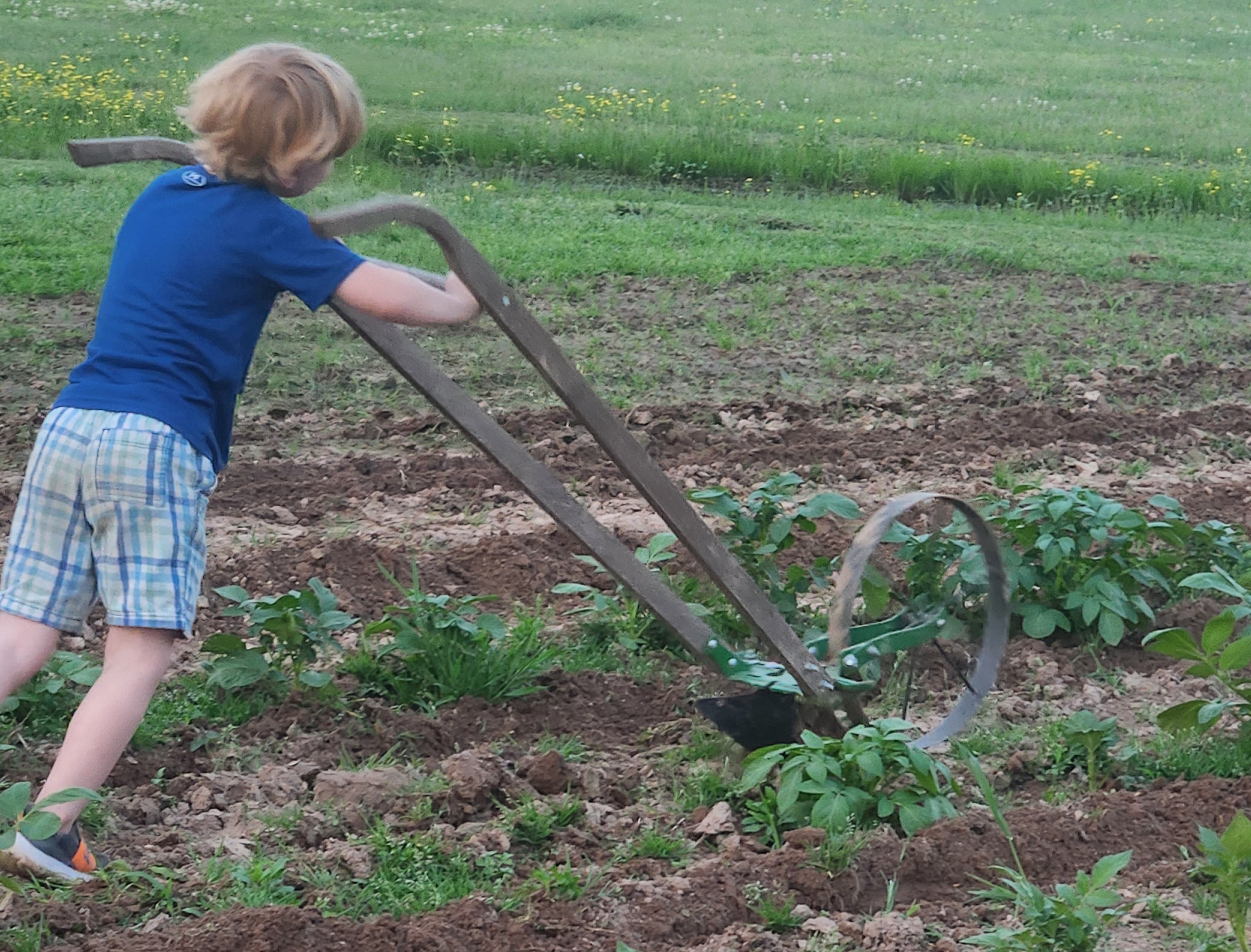 Mason using Wheel Hoe